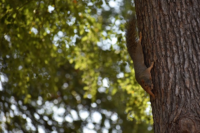 身上收穫積 身上收穫積