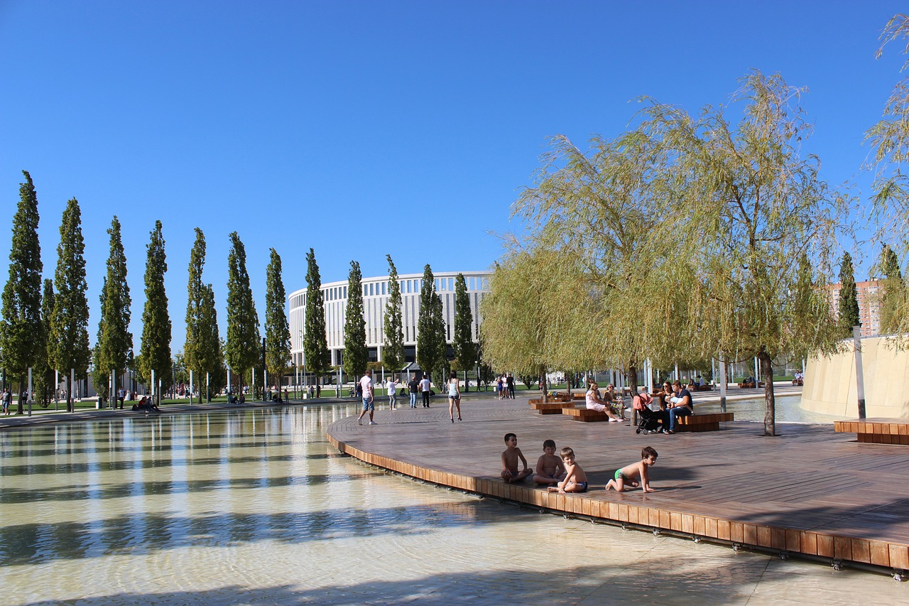 式比赛科目 式比赛科目