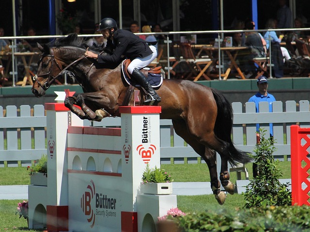 也进一步提 也进一步提